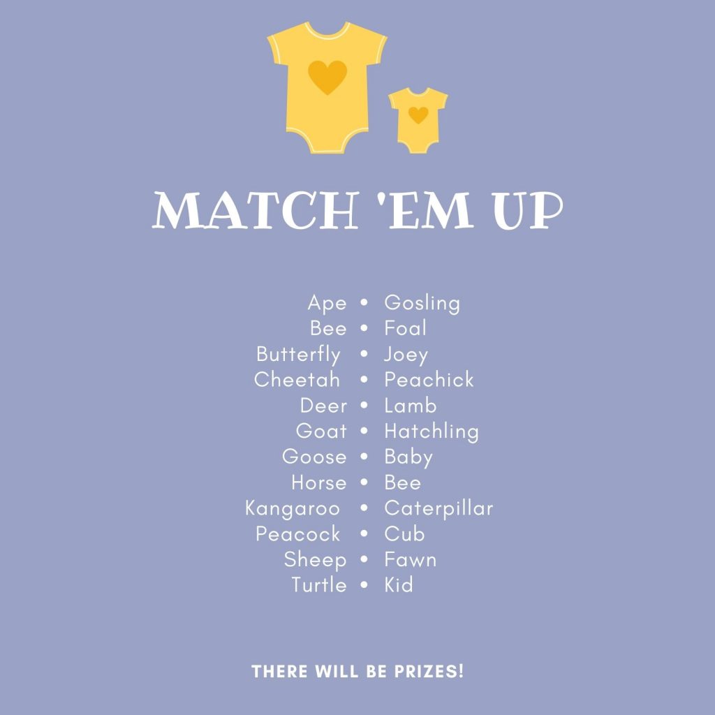 Match ‘Em Up - Baby Shower Game